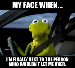 kermit-driving