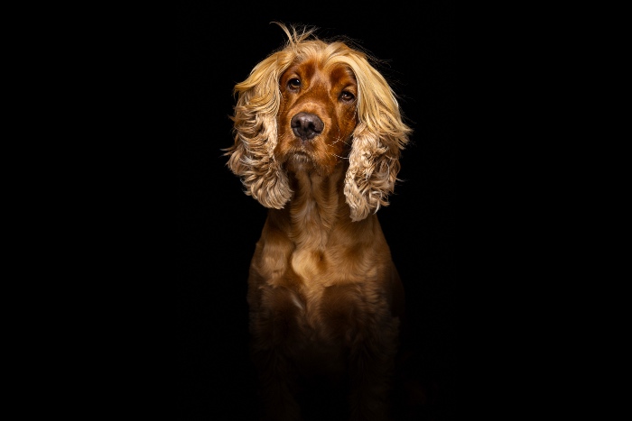 Portrait of Ginny © Rob Gale